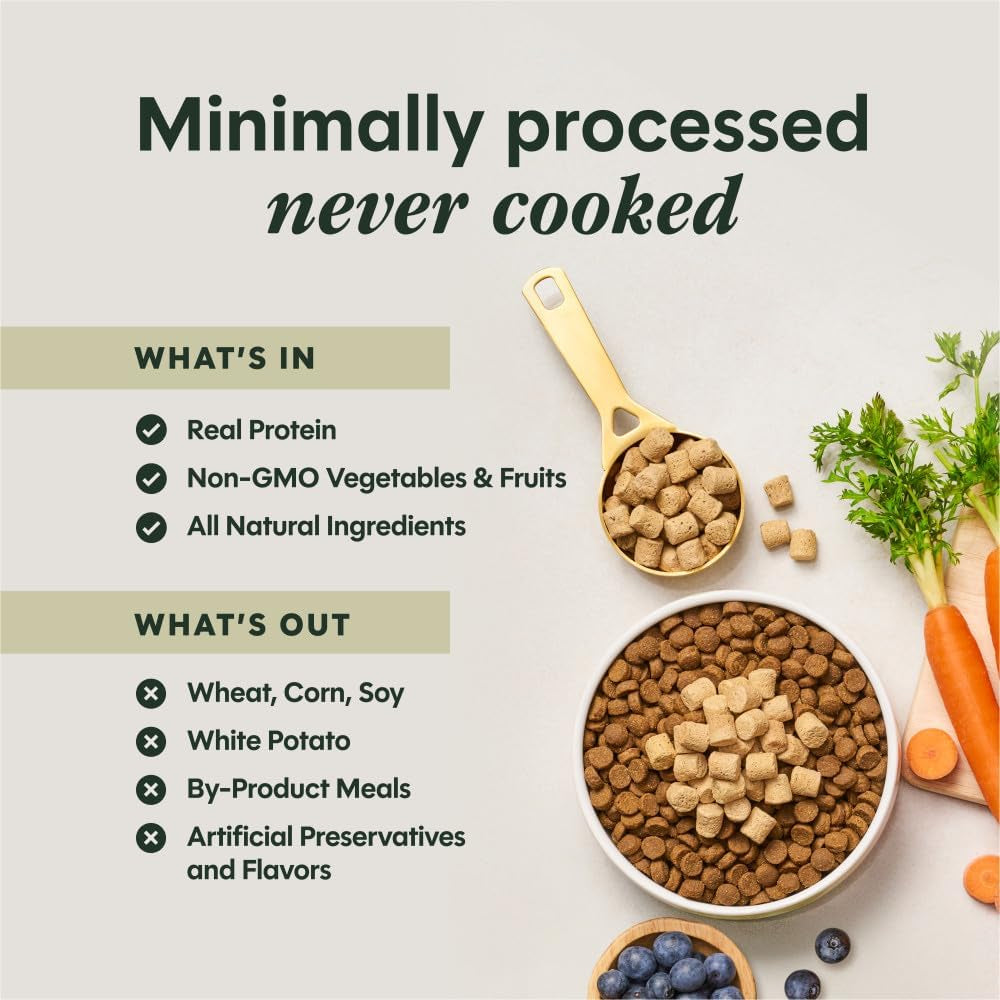 Raw Boost Mixers Freeze Dried Dog Food Toppers for Dry Food, Grain Free Dog Food Toppers with Beef for Dogs, 14 Oz