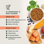 Benatural Dry Dog Food, Whole Grain, Salmon & Brown Rice, 4.5 Lb.