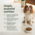 Limited Ingredient Diet Dry Dog Food, Real Salmon, 20 Lb. Bag