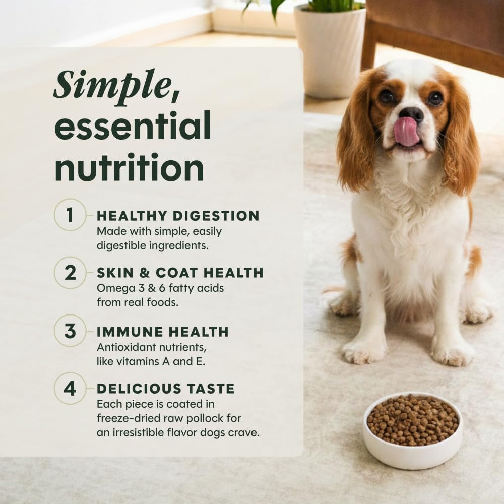 Limited Ingredient Diet Dry Dog Food, Real Salmon, 20 Lb. Bag