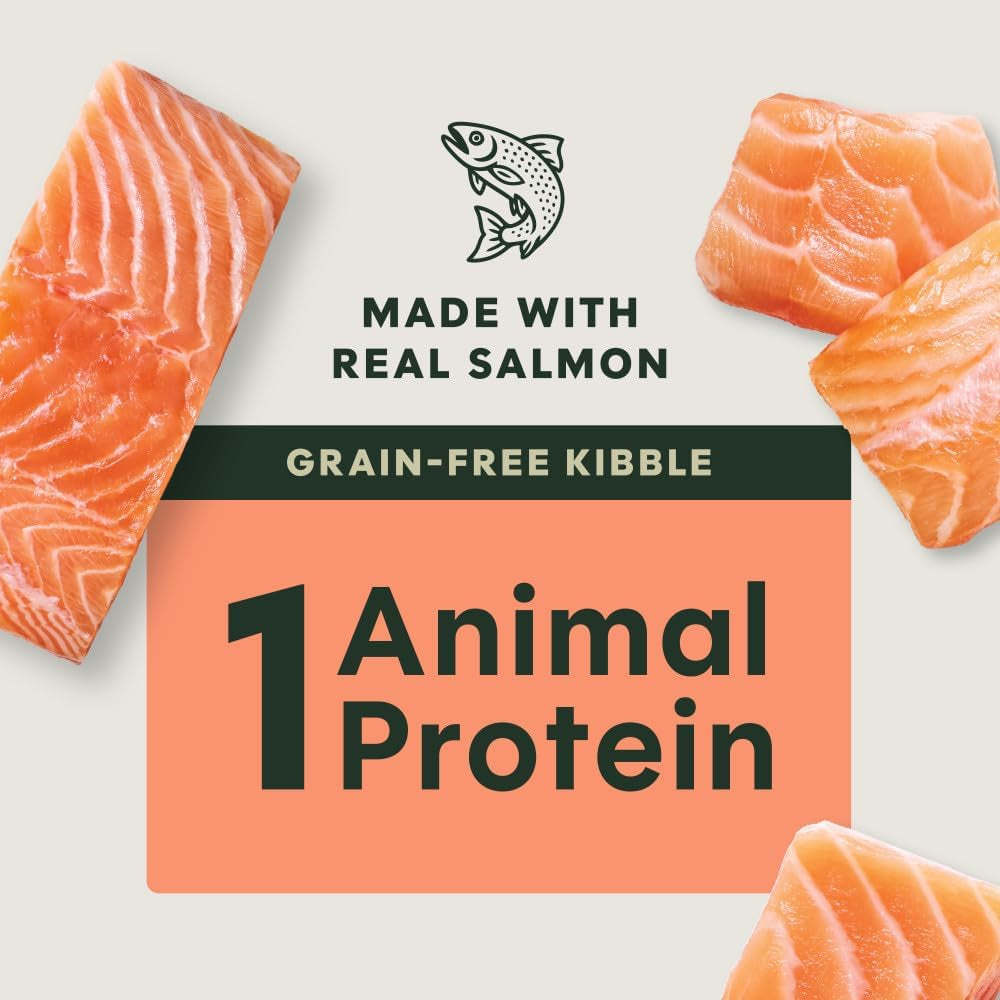 Limited Ingredient Diet Dry Dog Food, Real Salmon, 20 Lb. Bag
