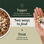Raw Boost Mixers Freeze Dried Dog Food Toppers for Dry Food, Grain Free Dog Food Toppers with Beef for Dogs, 14 Oz