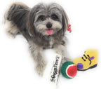 Christmas Dog Stocking Toys. Pack Assorted with Squeaker inside of Newspaper Toy, Squeaky Boot, a Red, Green & White Tennis Ball & Red White & Green Knotted Rope Xmas Toy. Small Medium Large Breeds