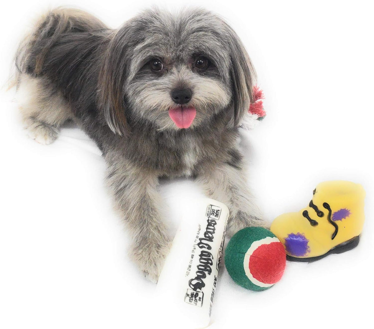 Christmas Dog Stocking Toys. Pack Assorted with Squeaker inside of Newspaper Toy, Squeaky Boot, a Red, Green & White Tennis Ball & Red White & Green Knotted Rope Xmas Toy. Small Medium Large Breeds