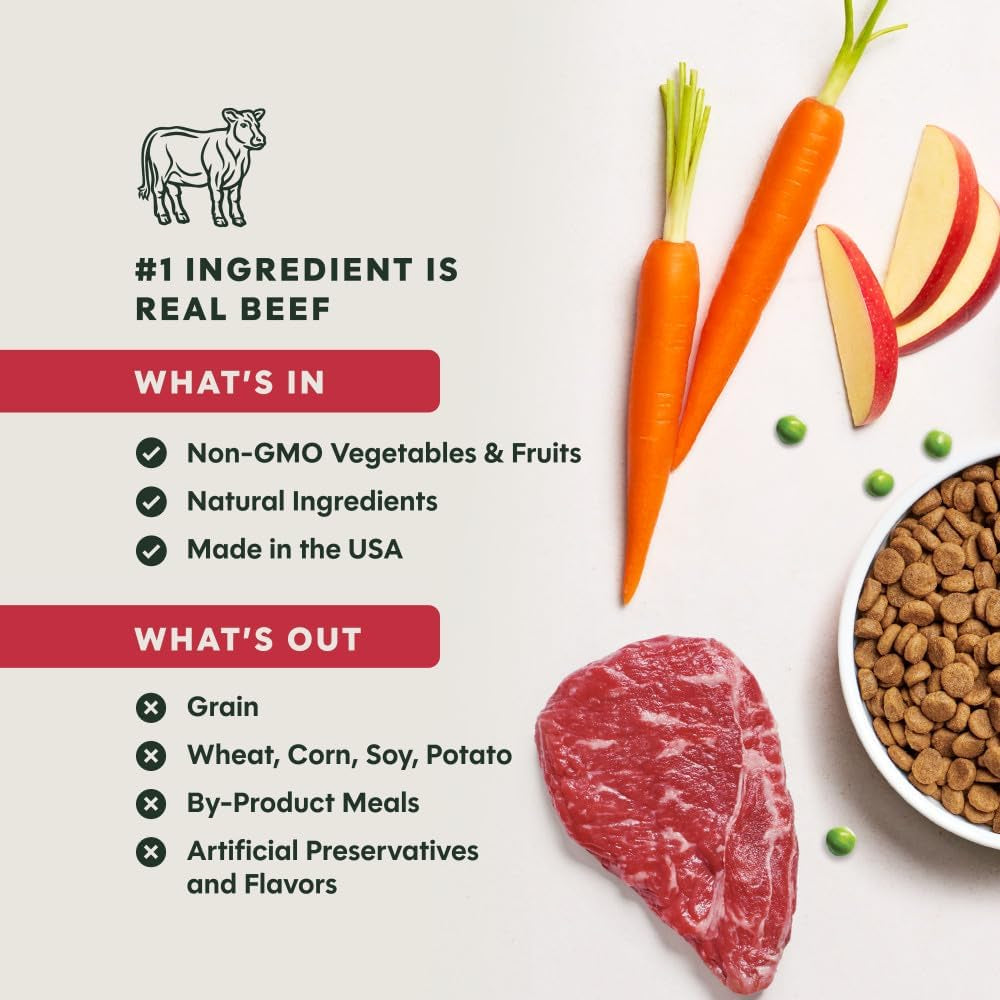 Original Dry Dog Food, Raw Coated Kibble, Real Beef, 20 Lb. Bag