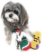 Christmas Dog Stocking Toys. Pack Assorted with Squeaker inside of Newspaper Toy, Squeaky Boot, a Red, Green & White Tennis Ball & Red White & Green Knotted Rope Xmas Toy. Small Medium Large Breeds