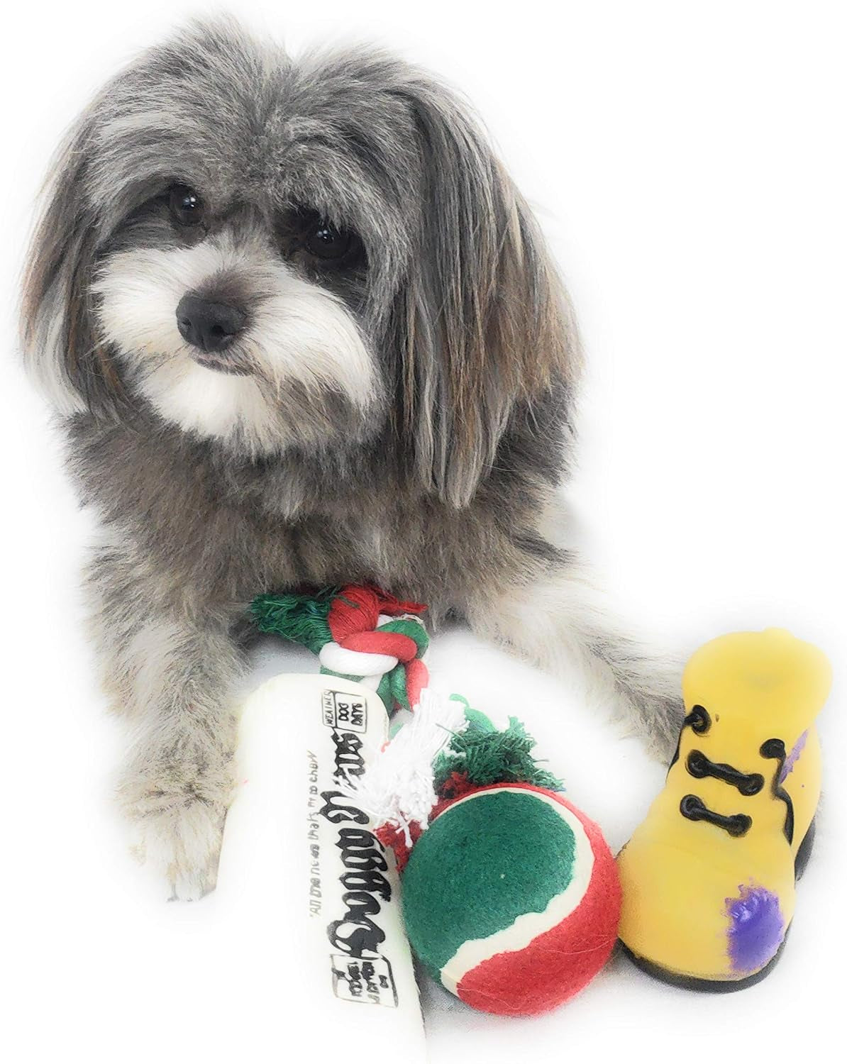Christmas Dog Stocking Toys. Pack Assorted with Squeaker inside of Newspaper Toy, Squeaky Boot, a Red, Green & White Tennis Ball & Red White & Green Knotted Rope Xmas Toy. Small Medium Large Breeds