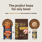 Ultimate Protein Grain Free Cage Free Chicken Recipe Natural Dry Cat Food, 10 Lb. Bag