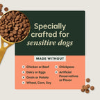 Limited Ingredient Diet Dry Dog Food, Real Salmon, 20 Lb. Bag