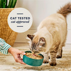 Freshdried Pates, Freeze Dried Cat Food, Chicken, 13 Oz. Bag