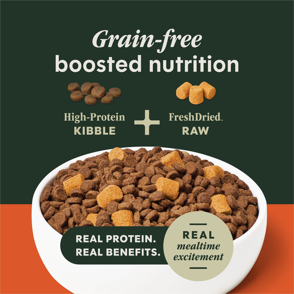 Instinct Gut Health Chicken kibble and raw pieces