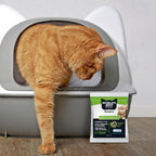 World’s Best Cat Litter Health Check-In Color-Changing Additive — 12g
