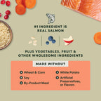 Rawboost Dry Dog Food + Freeze Dried, Salmon & Brown Rice, 19 Lb