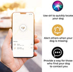 Airtag Dog Collar | Durable & Protective Holder - Track Your Pet Using Apple Technology - for Dogs and Cats