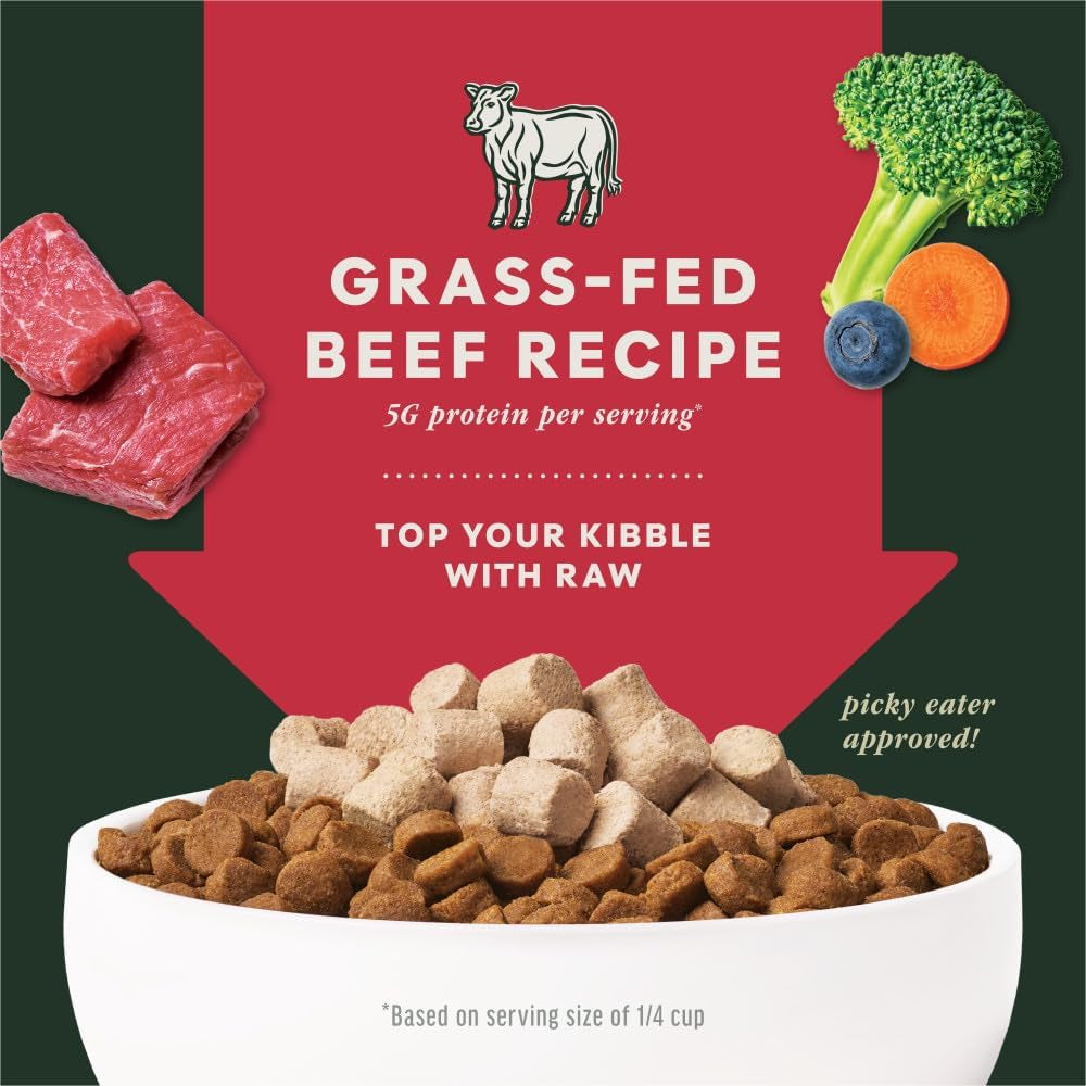 Raw Boost Mixers Freeze Dried Dog Food Toppers for Dry Food, Grain Free Dog Food Toppers with Beef for Dogs, 14 Oz