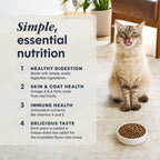Limited Ingredient Diet Dry Cat Food, Real Rabbit, 10 Lb. Bag