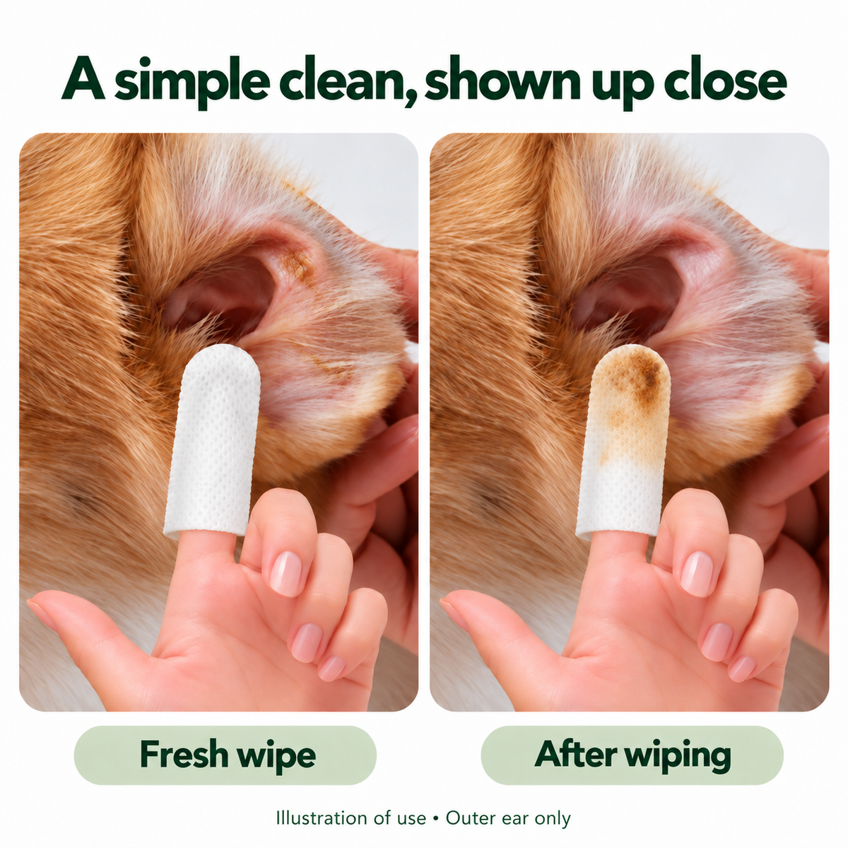 Pet Ear Cleaning Finger Wipes