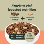 Rawboost Dry Dog Food + Freeze Dried, Salmon & Brown Rice, 3.5 Lb