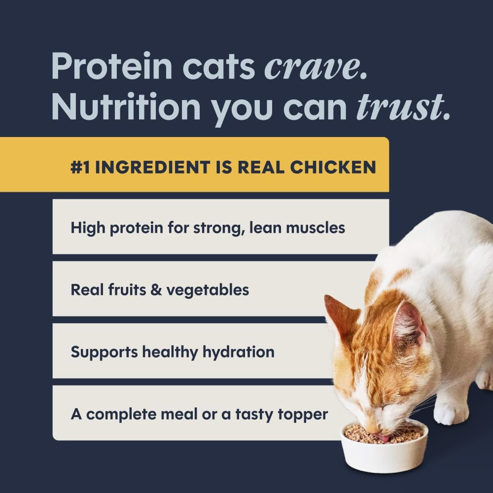 Original Pate Wet Cat Food, Grain Free Recipe - Real Chicken, 5.5 Oz. Cans (Pack of 12)