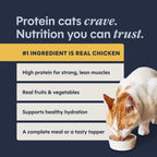 Original Pate Wet Cat Food, Grain Free Recipe - Real Chicken, 5.5 Oz. Cans (Pack of 12)