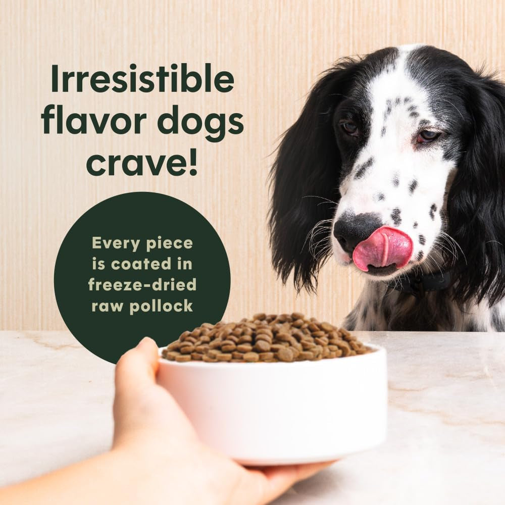 Original Dry Dog Food, Raw Coated Kibble, Real Beef, 20 Lb. Bag