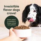 Instinct Original Chicken Dry Dog Food – 22.5 lb — recipe information, image 3