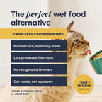 Freshdried Pates, Freeze Dried Cat Food, Chicken, 13 Oz. Bag