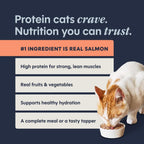 Original Grain Free Real Salmon Recipe Natural Wet Canned Cat Food by Nature'S Variety, 5.5 Oz. Cans (Case of 12)