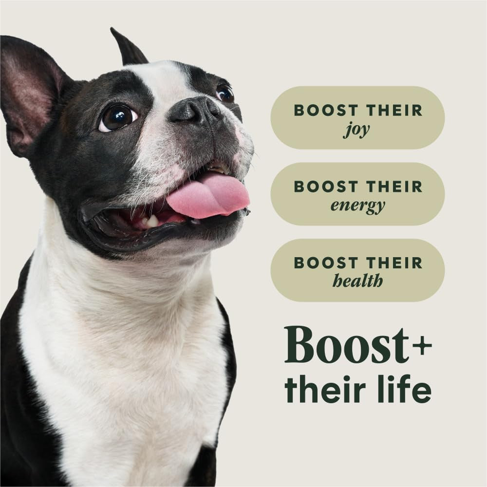 Instinct RawBoost Small Breed Beef Dog Food – 3.5 lb — recipe information, image 4