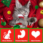 Christmas Cat Toy Stocking — 10-Piece Gift Set