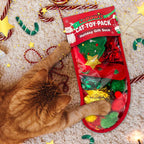 Christmas Cat Toy Stocking — 10-Piece Gift Set