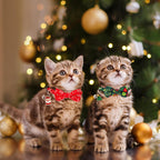 Christmas Cat Collar Breakaway with Bowtie Bell - 2 Pack Red Green Xmas Kitten Bow Collars Christmas Collars for Cat Kitten