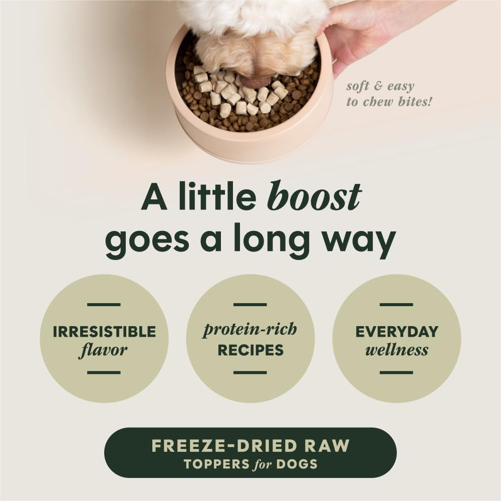 Raw Boost Mixers Freeze Dried Dog Food Toppers for Dry Food, Grain Free Dog Food Toppers with Beef for Dogs, 14 Oz