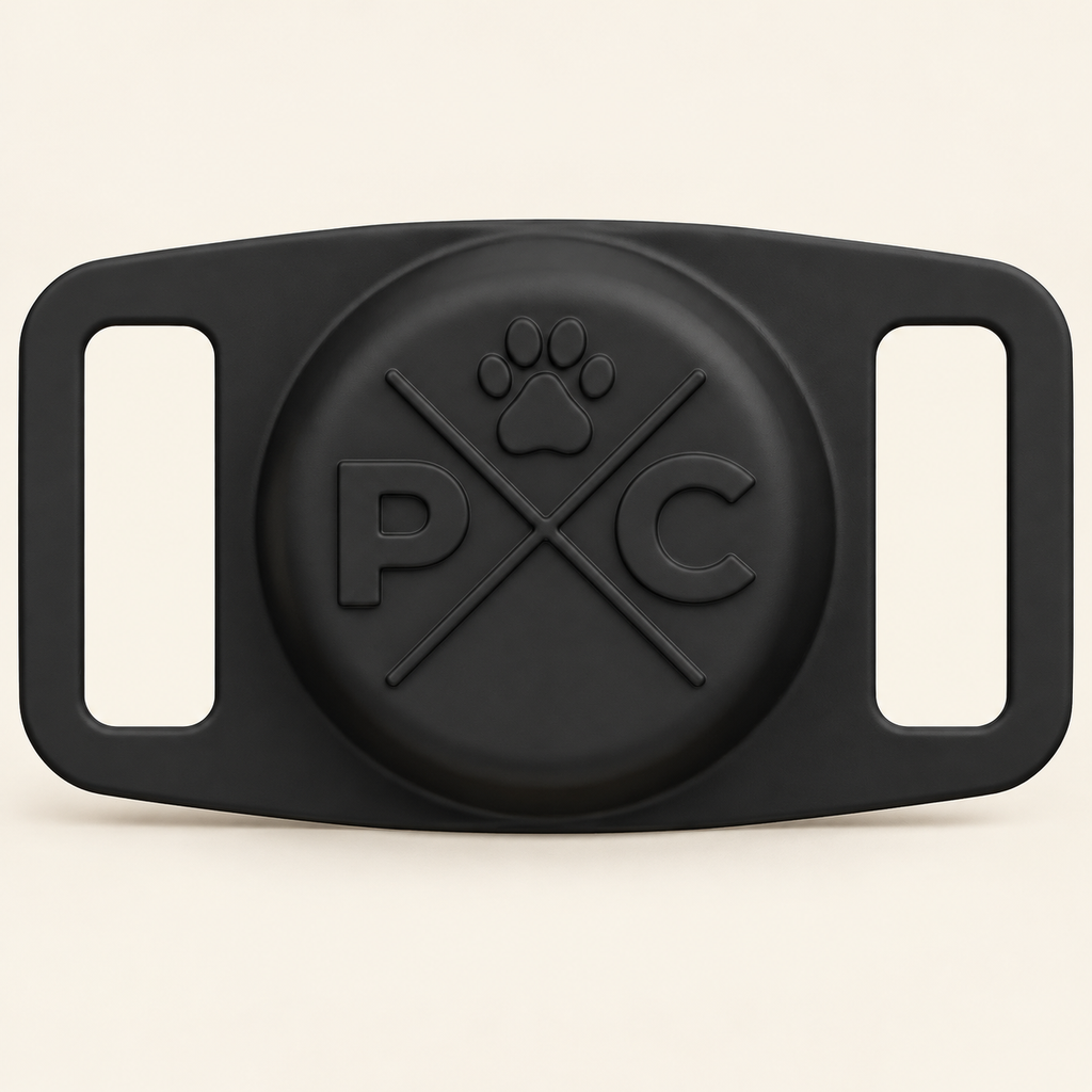 AirTag Collar Holder — 1 Pack / Black, product photo on warm cream
