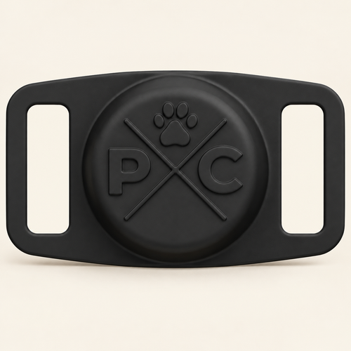 AirTag Collar Holder — 1 Pack / Black, product photo on warm cream