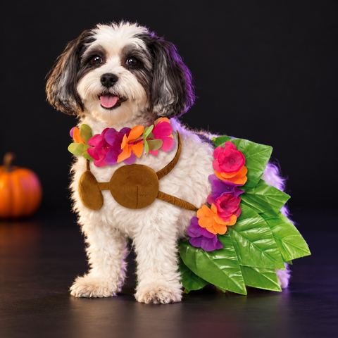 Hula Party