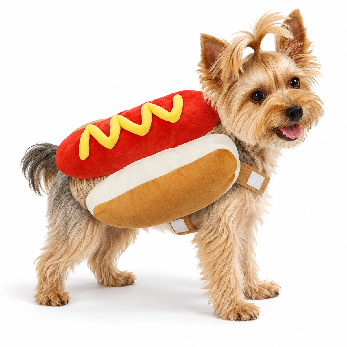 Pet wearing hotdog costume on white — AI styled from actual product references