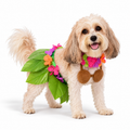 Pet wearing hula costume on white — AI styled from actual product references