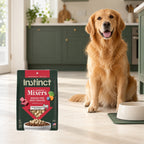 Instinct Beef Mixers Dog Topper – 14 oz — packaging in a cream and forest-green mealtime scene