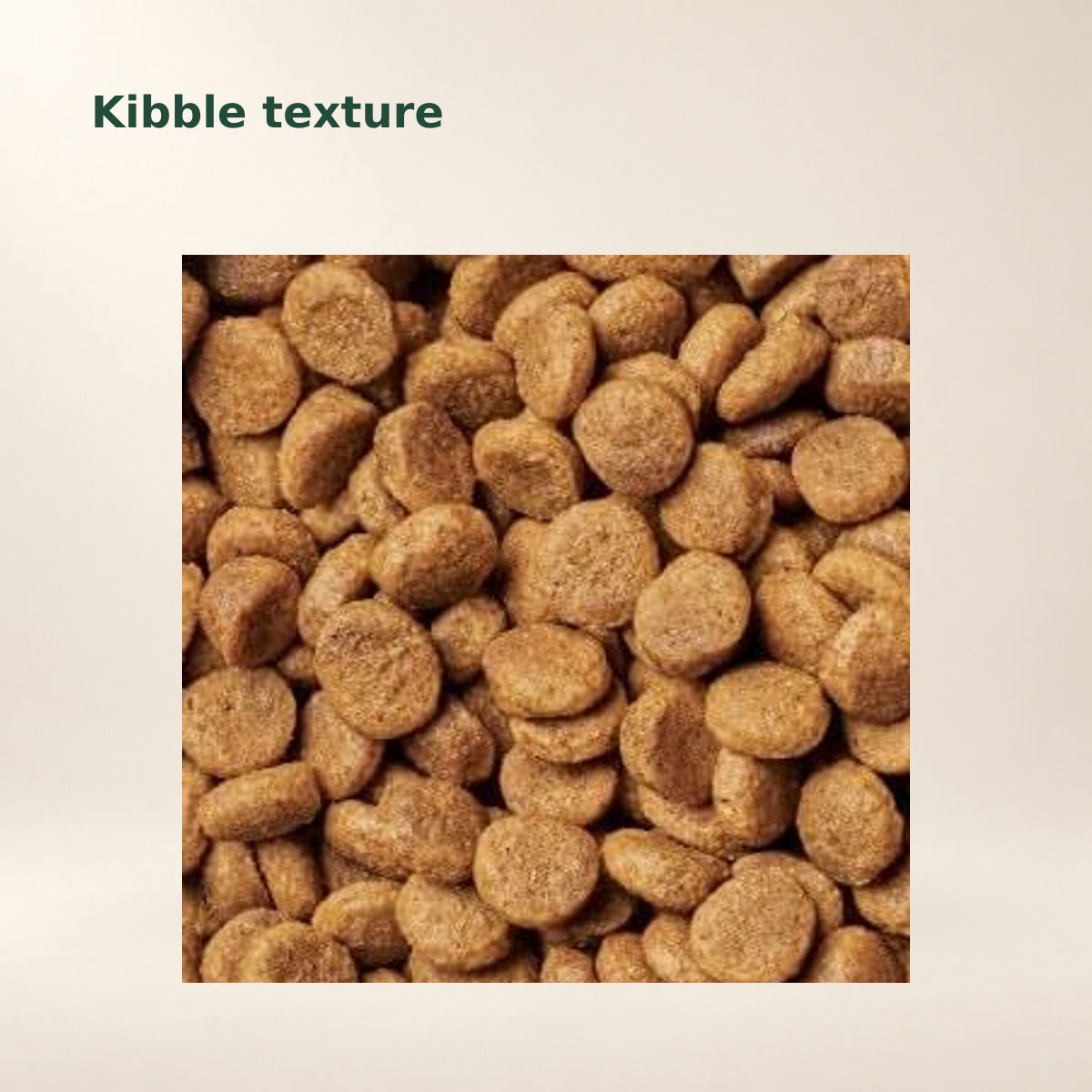Instinct BeNatural Lamb & Oatmeal Dog Food – 4.5 lb — food texture from the manufacturer photograph