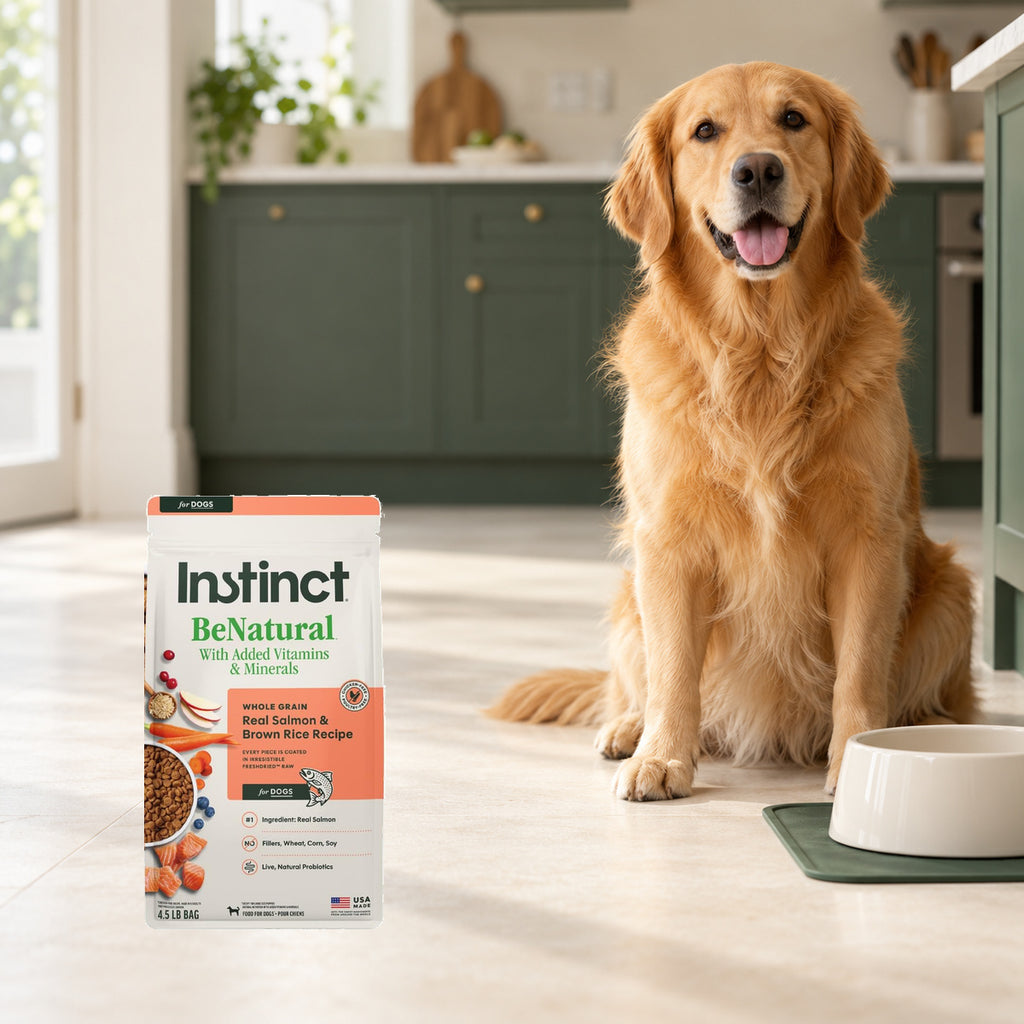 Instinct BeNatural Salmon & Brown Rice Dog Food – 4.5 lb — packaging in a cream and forest-green mealtime scene