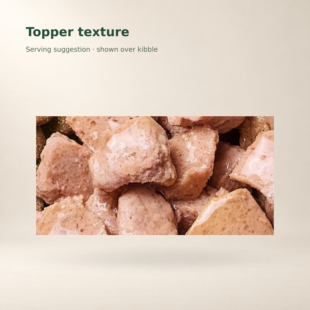 Instinct Healthy Cravings Chicken Cat Topper – 24 × 3 oz — food texture from the manufacturer photograph