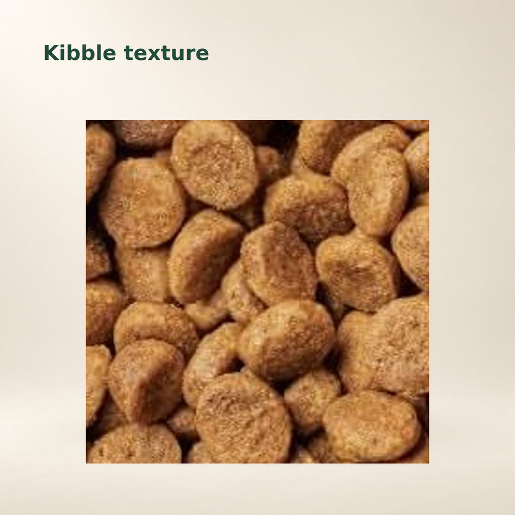 Instinct Limited Ingredient Rabbit Dry Cat Food – 10 lb — food texture from the manufacturer photograph