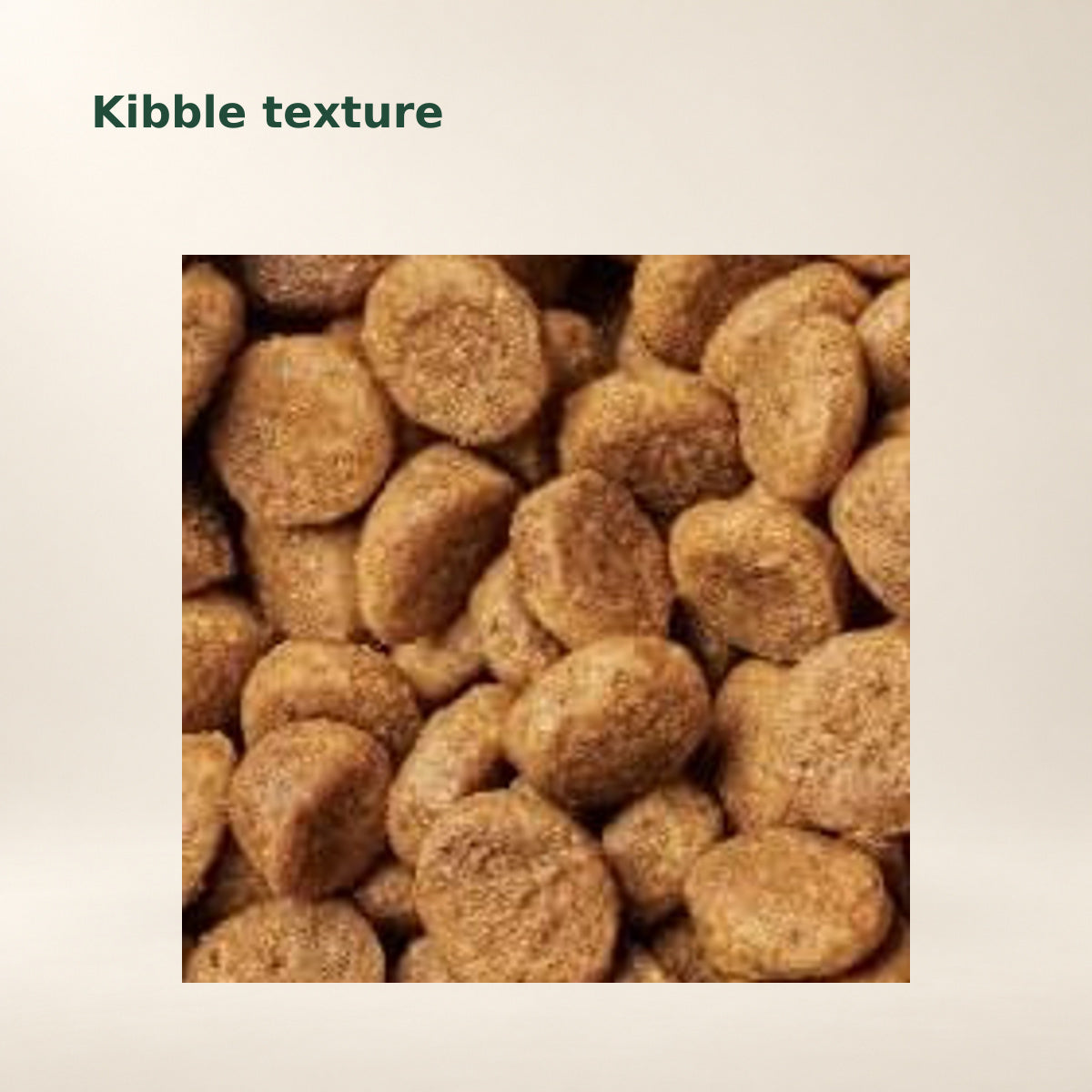 Instinct Limited Ingredient Rabbit Dry Cat Food – 10 lb — food texture from the manufacturer photograph