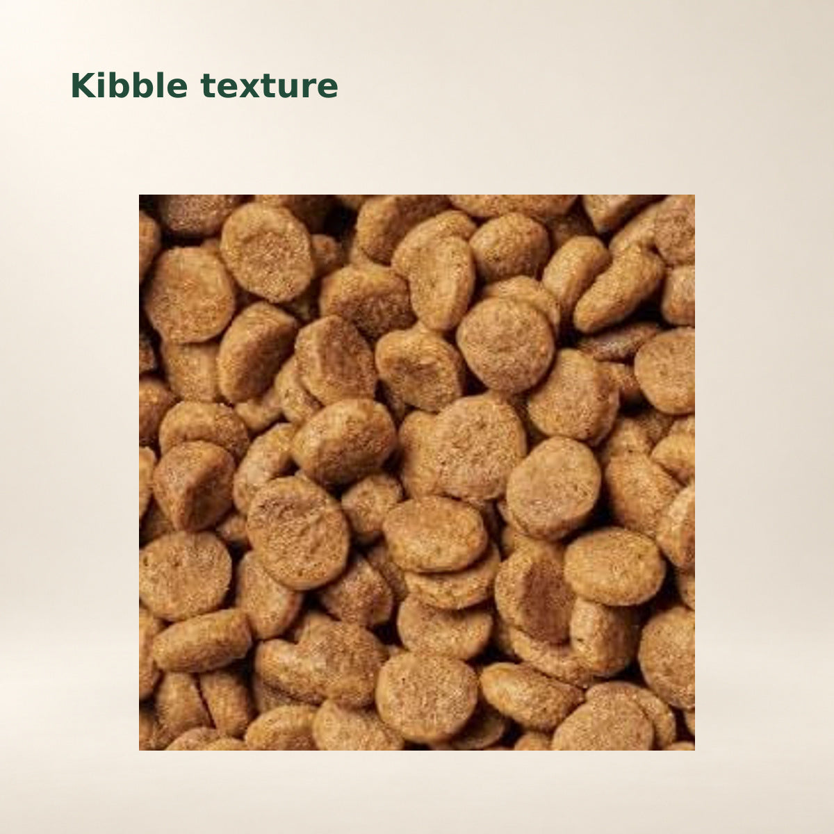 Instinct Original Beef Dry Dog Food – 20 lb — food texture from the manufacturer photograph