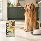 Instinct RawBoost Chicken & Brown Rice Dog Food – 3.5 lb — packaging in a cream and forest-green mealtime scene