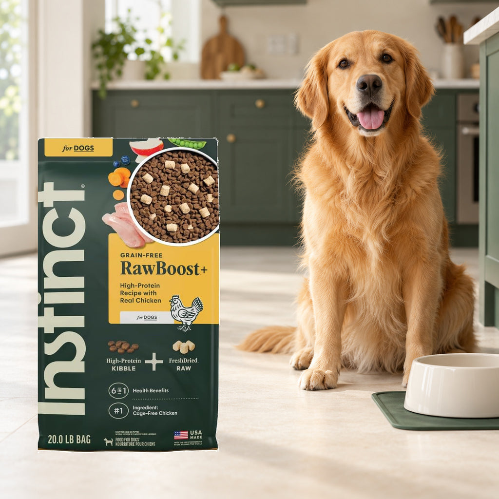 Instinct RawBoost Chicken Dog Food – 20 lb — packaging in a cream and forest-green mealtime scene