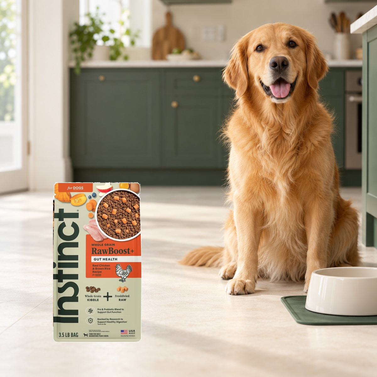 Instinct RawBoost Gut Chicken & Brown Rice Dog Food – 3.5 lb — packaging in a cream and forest-green mealtime scene