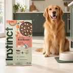Instinct RawBoost Salmon & Brown Rice Dog Food – 19 lb — packaging in a cream and forest-green mealtime scene