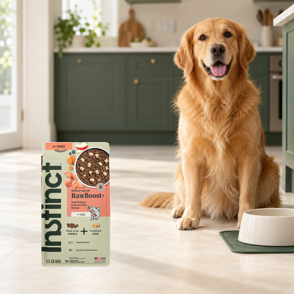 Instinct RawBoost Salmon & Brown Rice Dog Food – 3.5 lb — packaging in a cream and forest-green mealtime scene